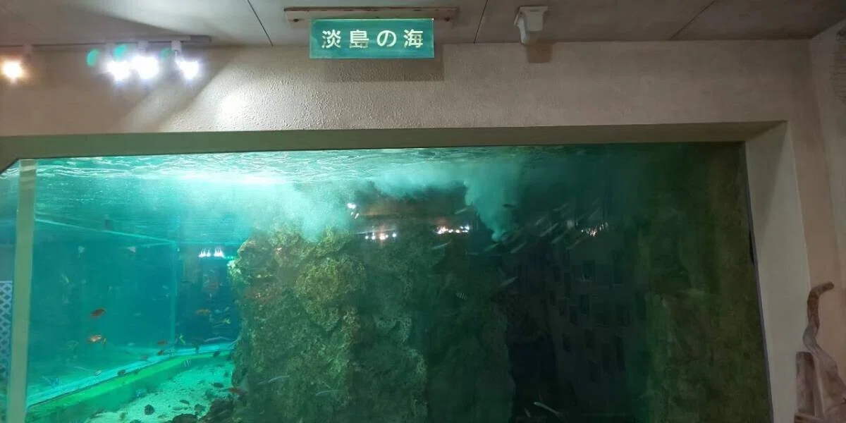 画像116