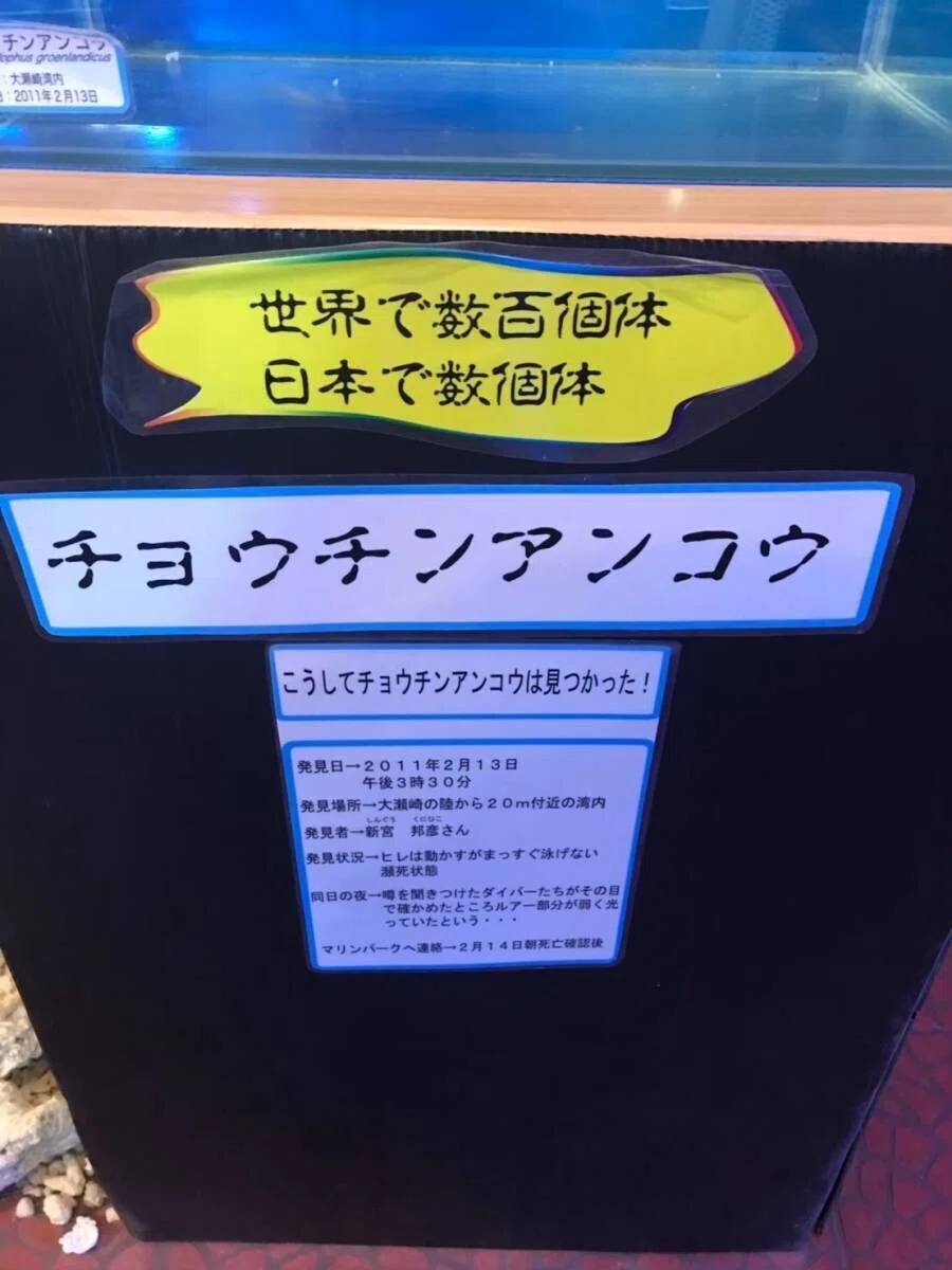 画像55