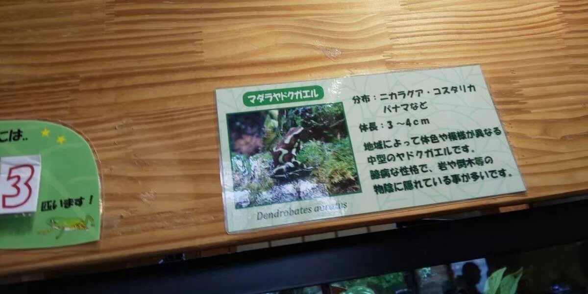 画像61