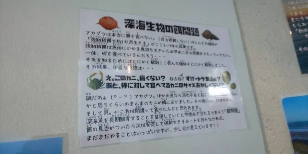 画像127