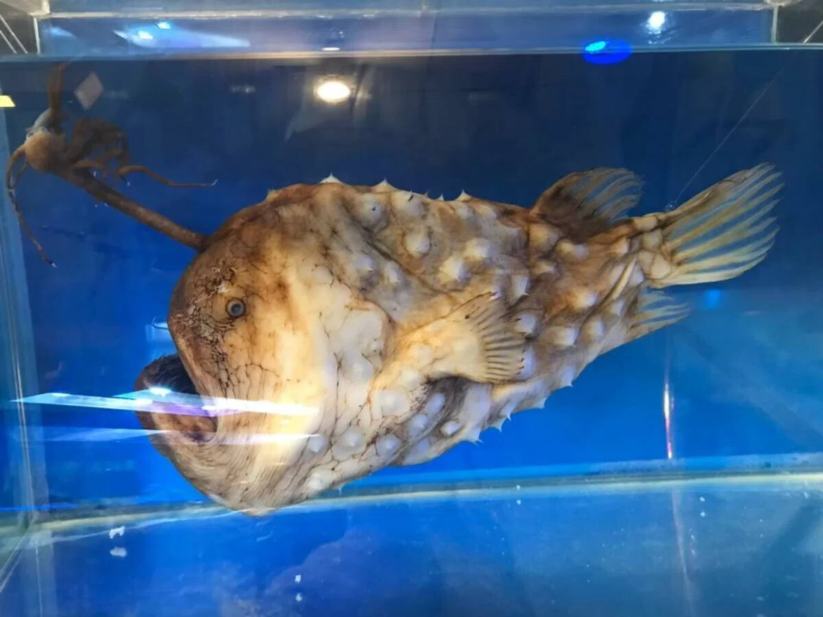 画像56