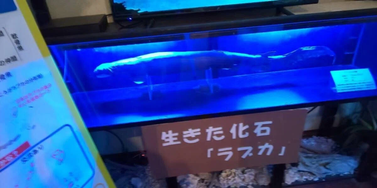 画像120