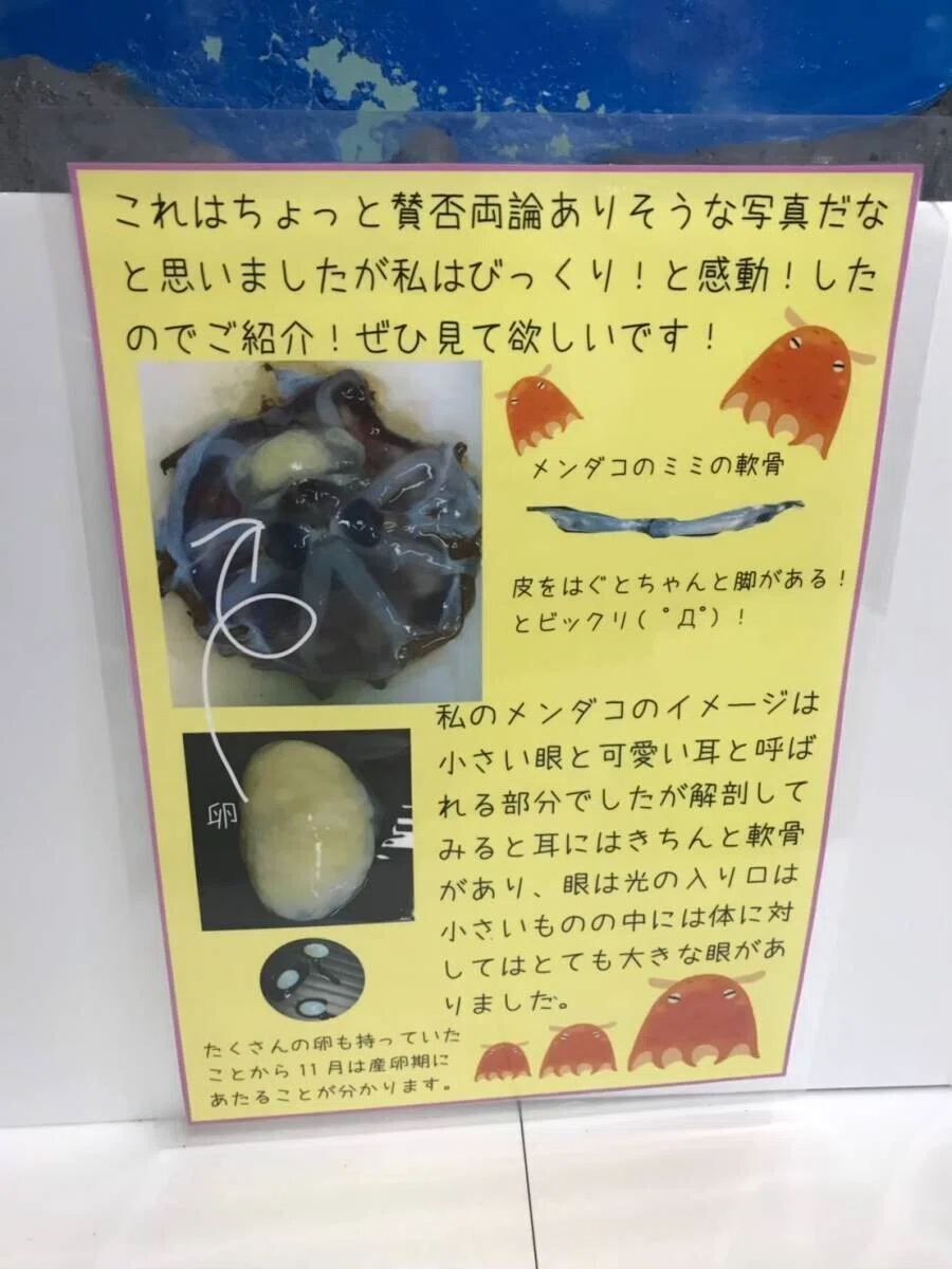 画像46