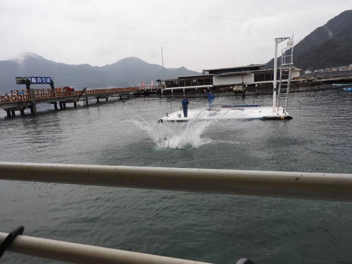 画像24