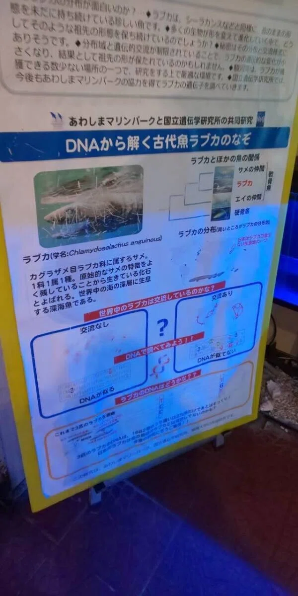画像124