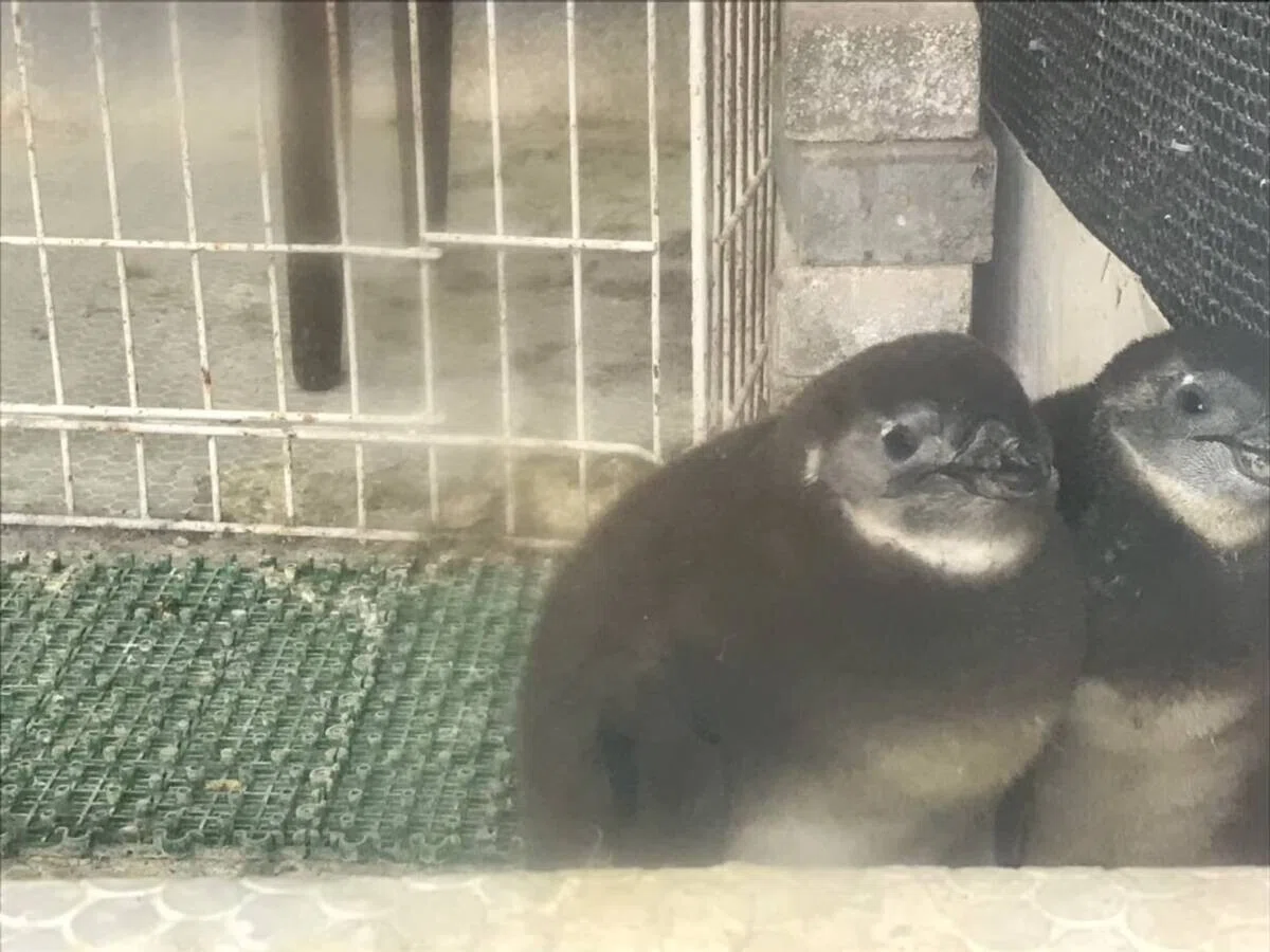 画像30
