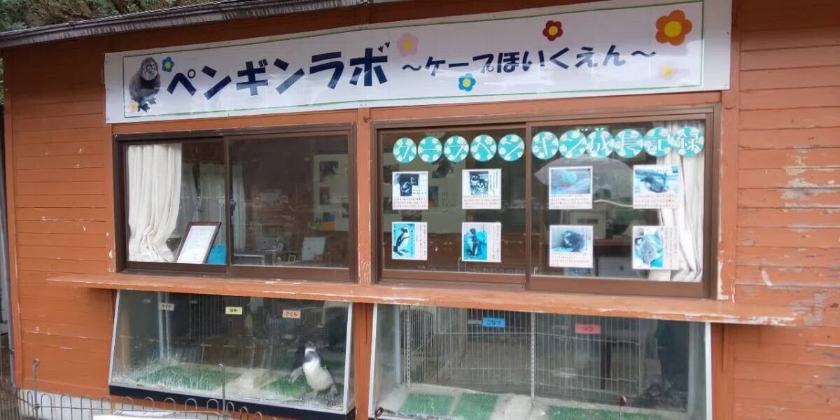 画像82