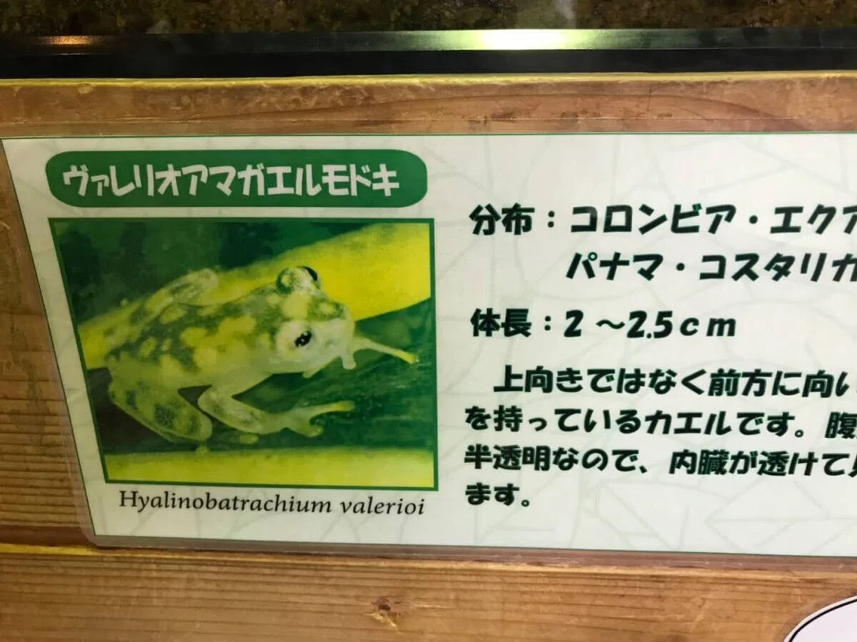 画像38