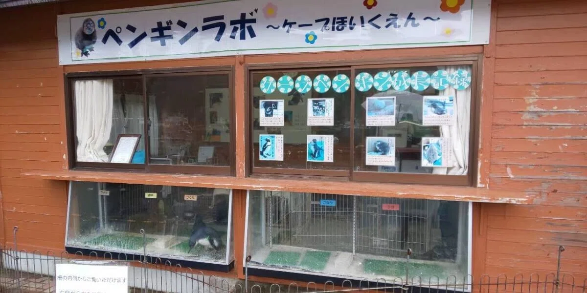 画像83