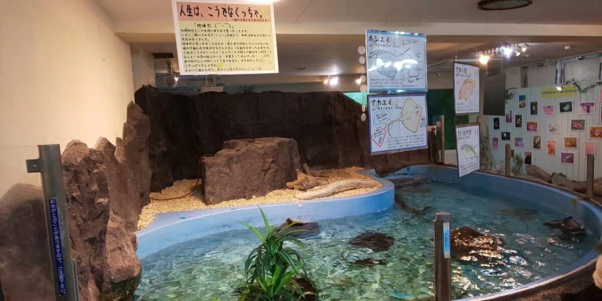 画像110