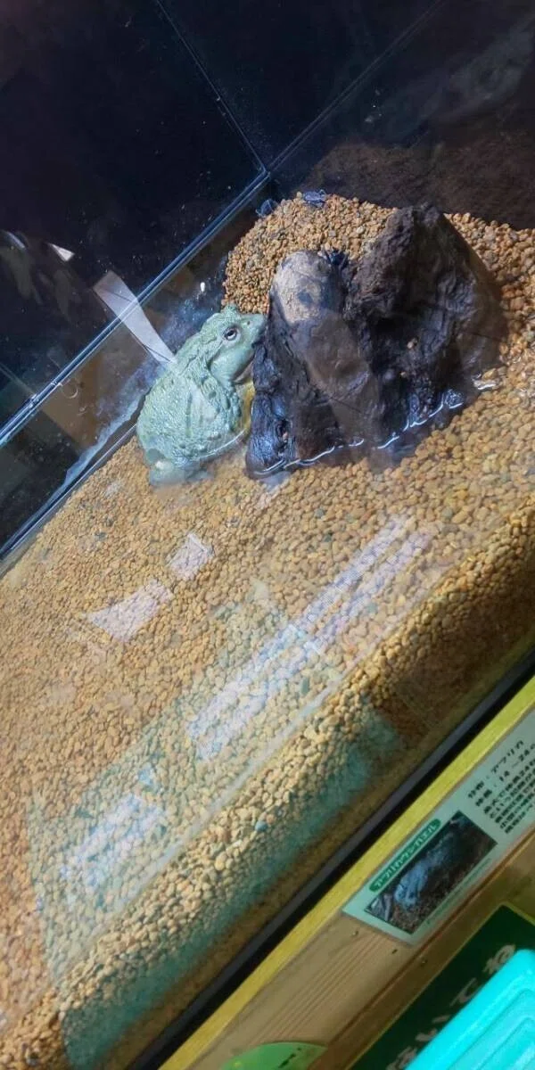 画像69