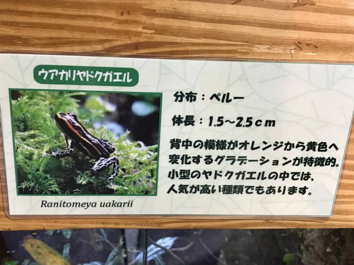 画像40