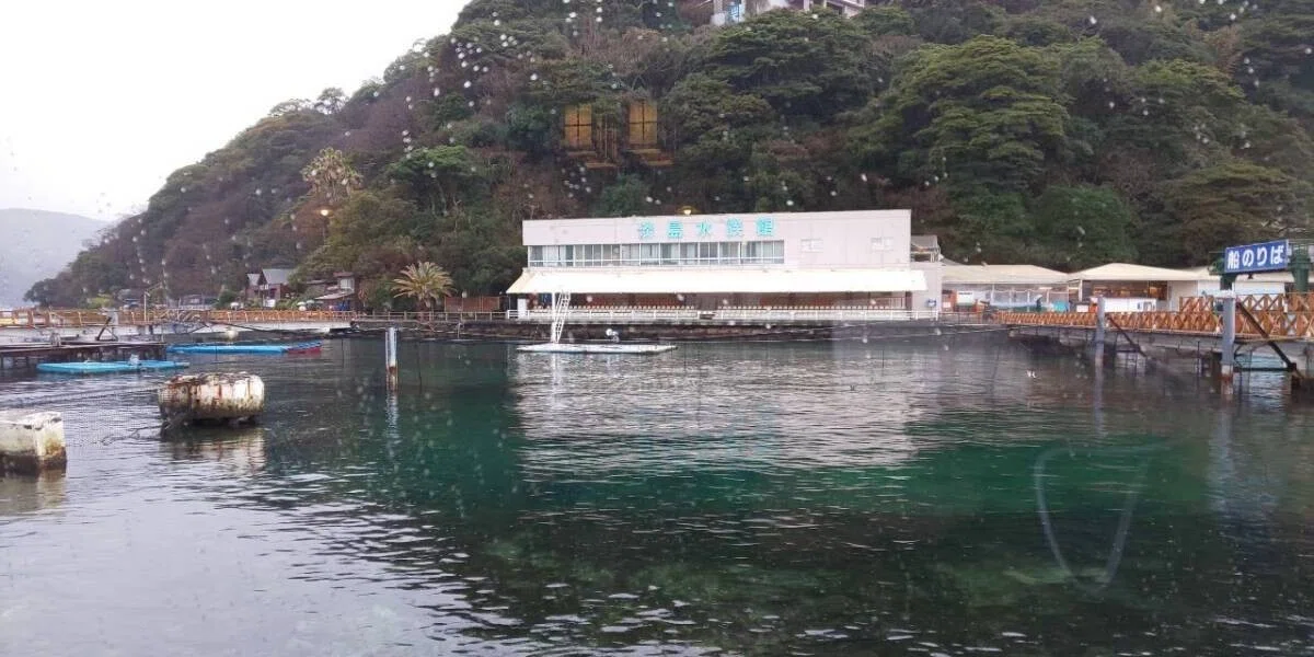 画像76