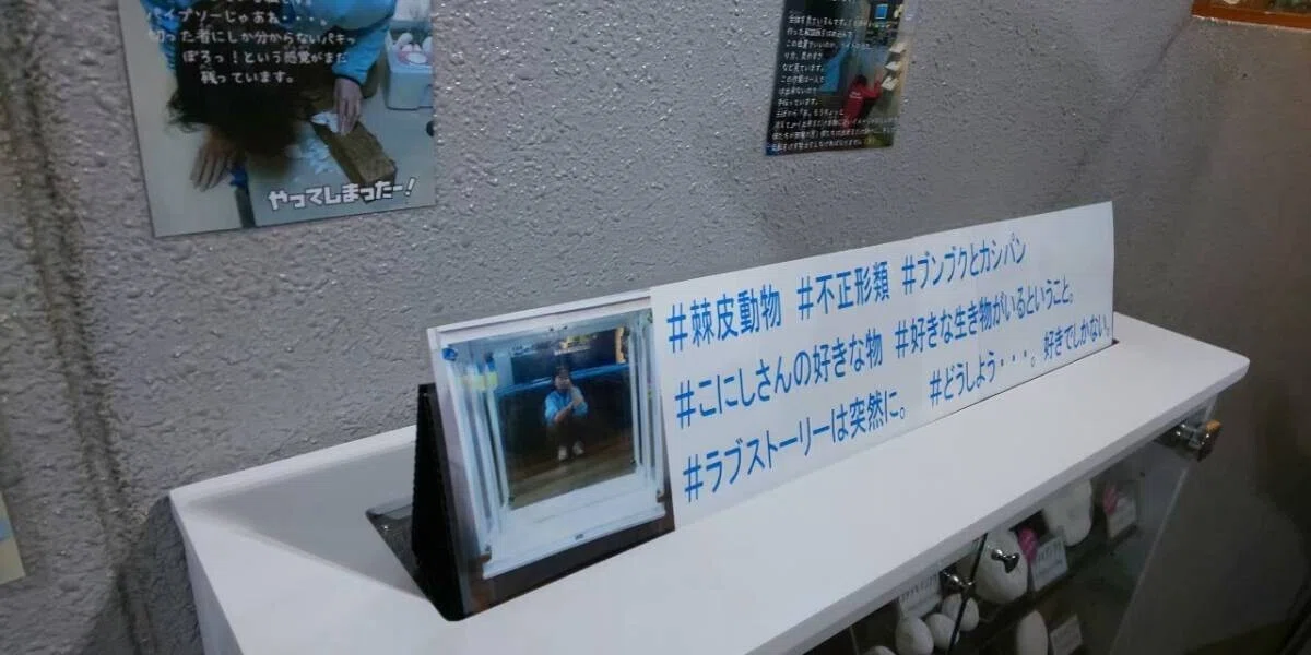 画像132