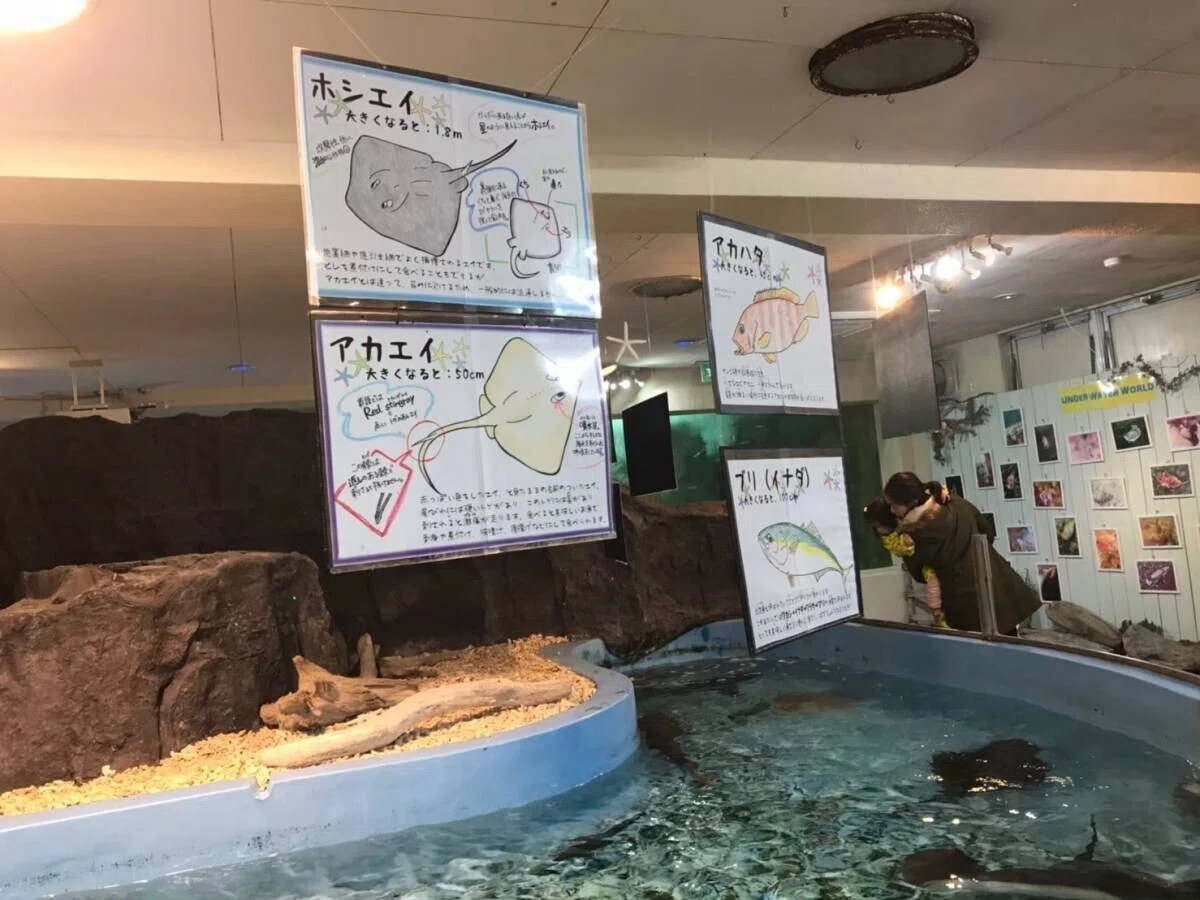 画像57