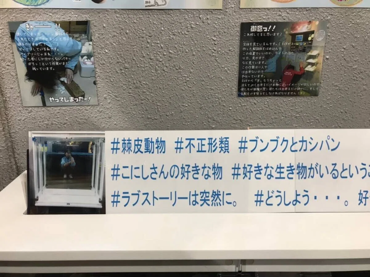 画像49