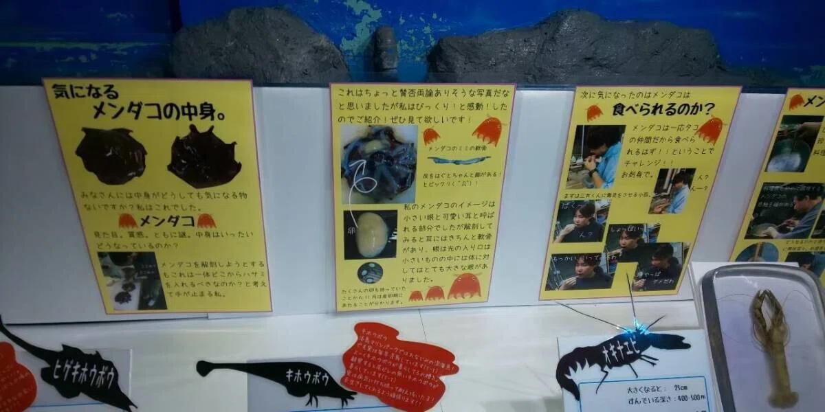 画像134