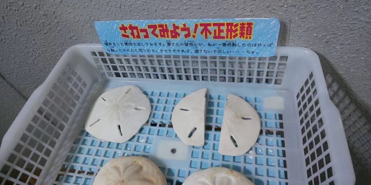画像130