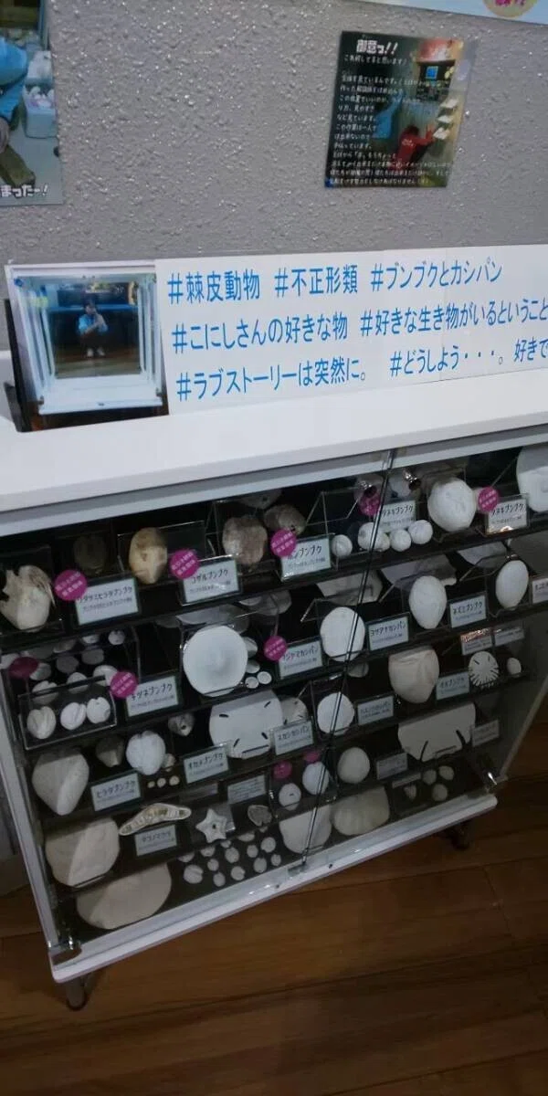 画像133