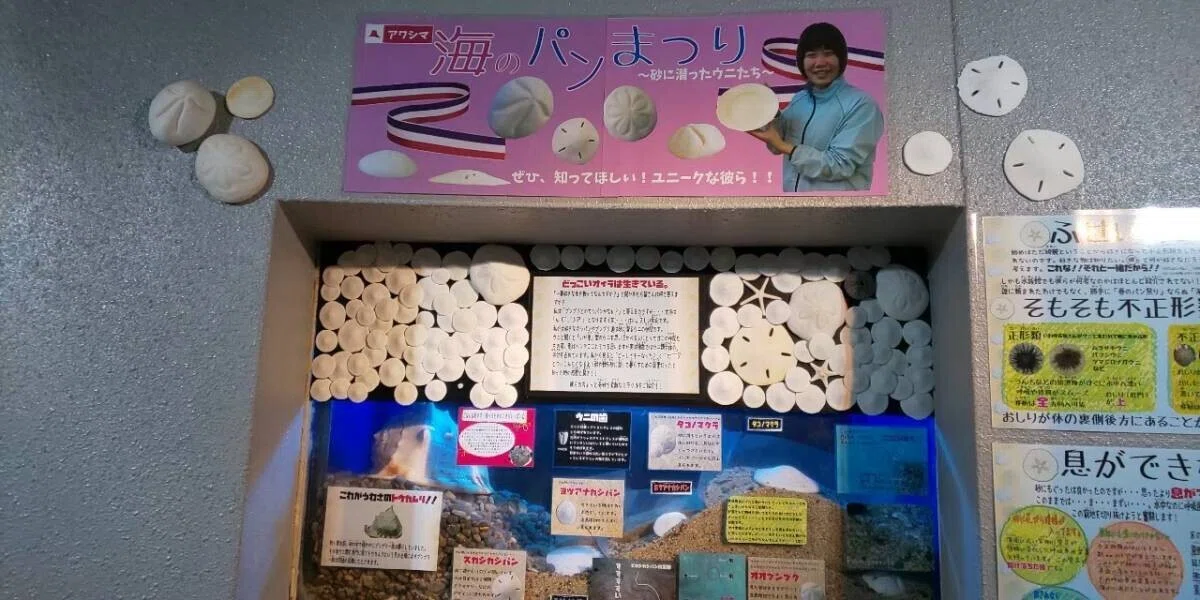 画像129