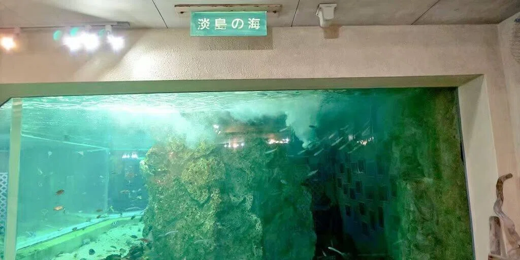 画像149