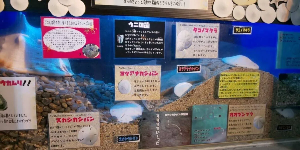 画像131