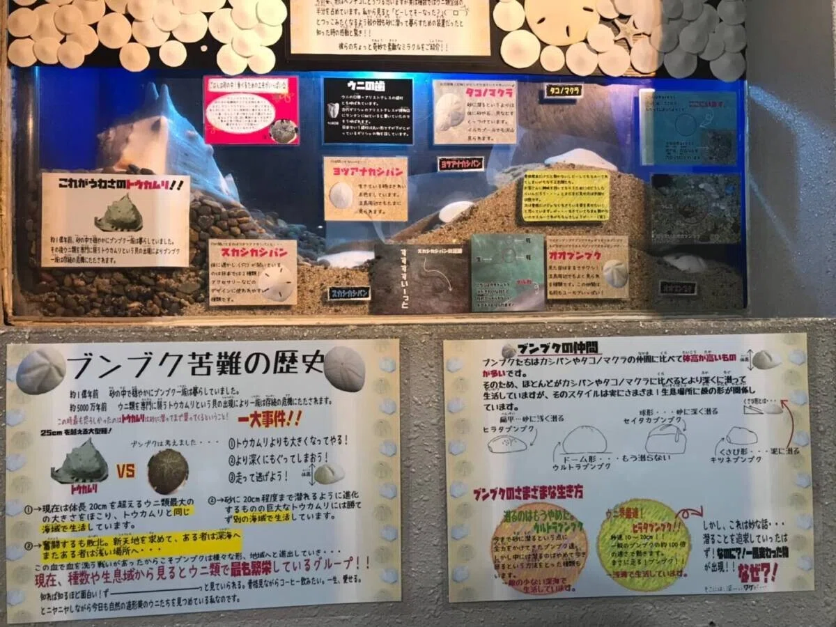 画像48