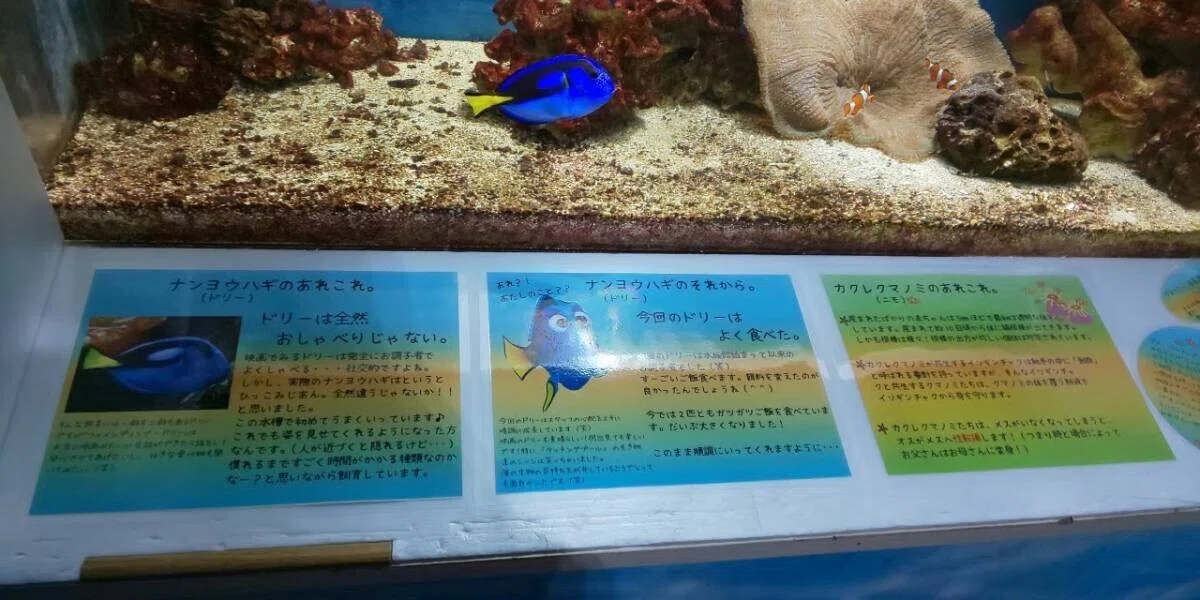 画像141