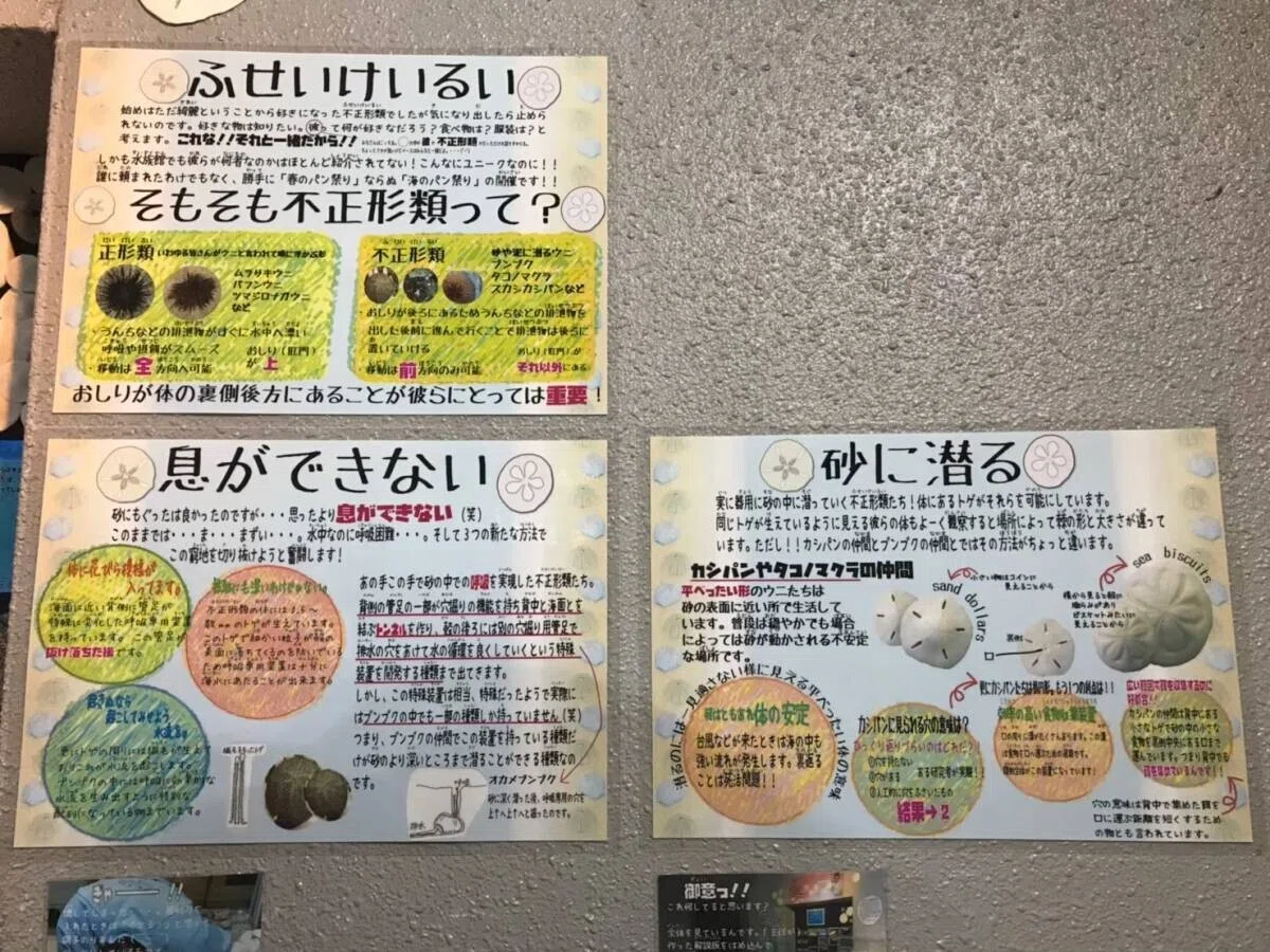 画像50
