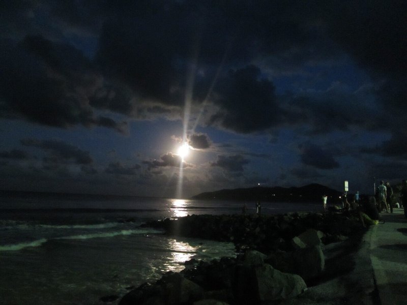 Byron Bay 頭丸めた女が裸になって海に入っていく 光の中を旅してた Note