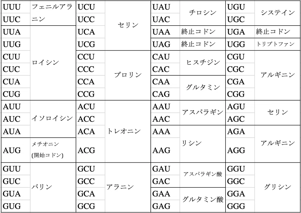 コドン表