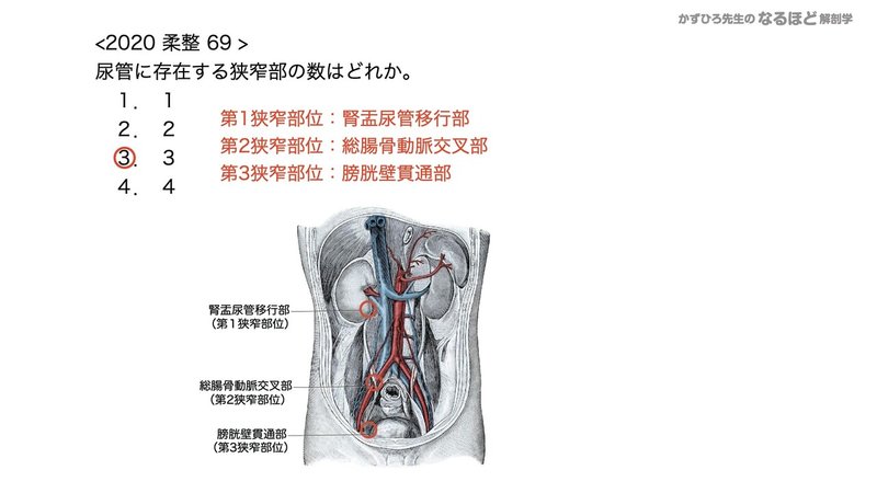 5 2 3 泌尿器系 尿管 膀胱 尿道 国試過去問解説 黒澤一弘 Note