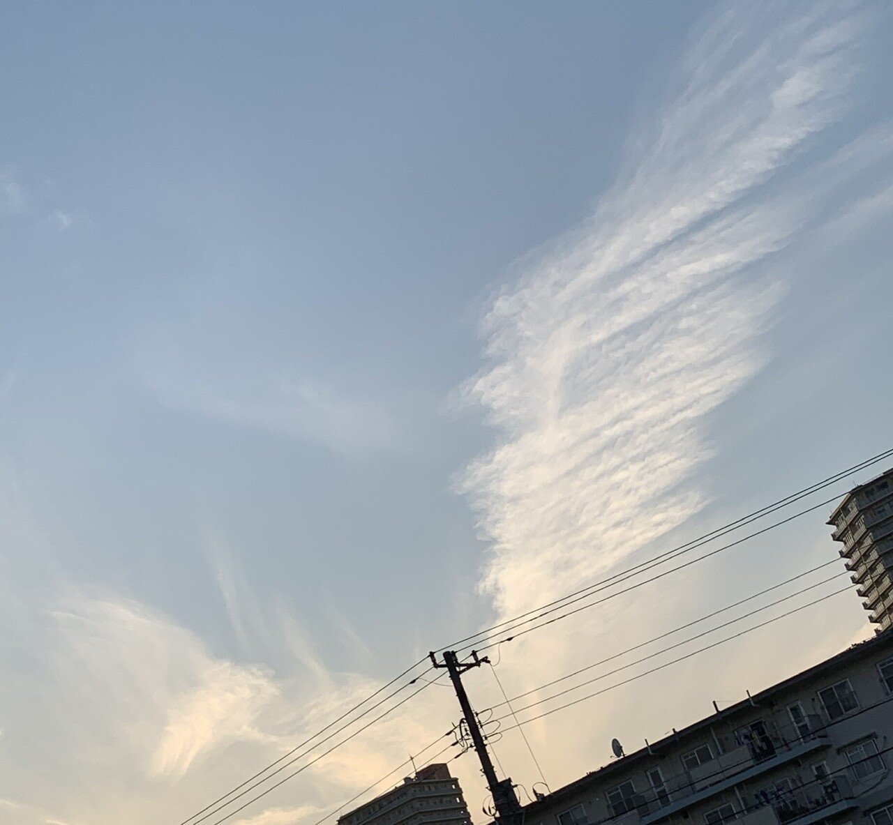 空の写真 番外編 面白くて不思議な雲のスピ系 笑 写真 Yoko 好きなものを集める Note 音楽 スマホのお散歩写真 エッセイなど Note