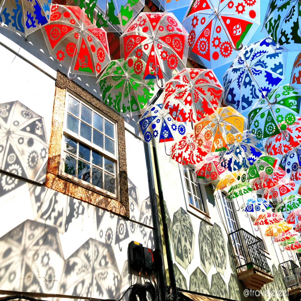 1コマ海外旅行】#24 近年注目の田舎町アゲダのアートフェスティバル in