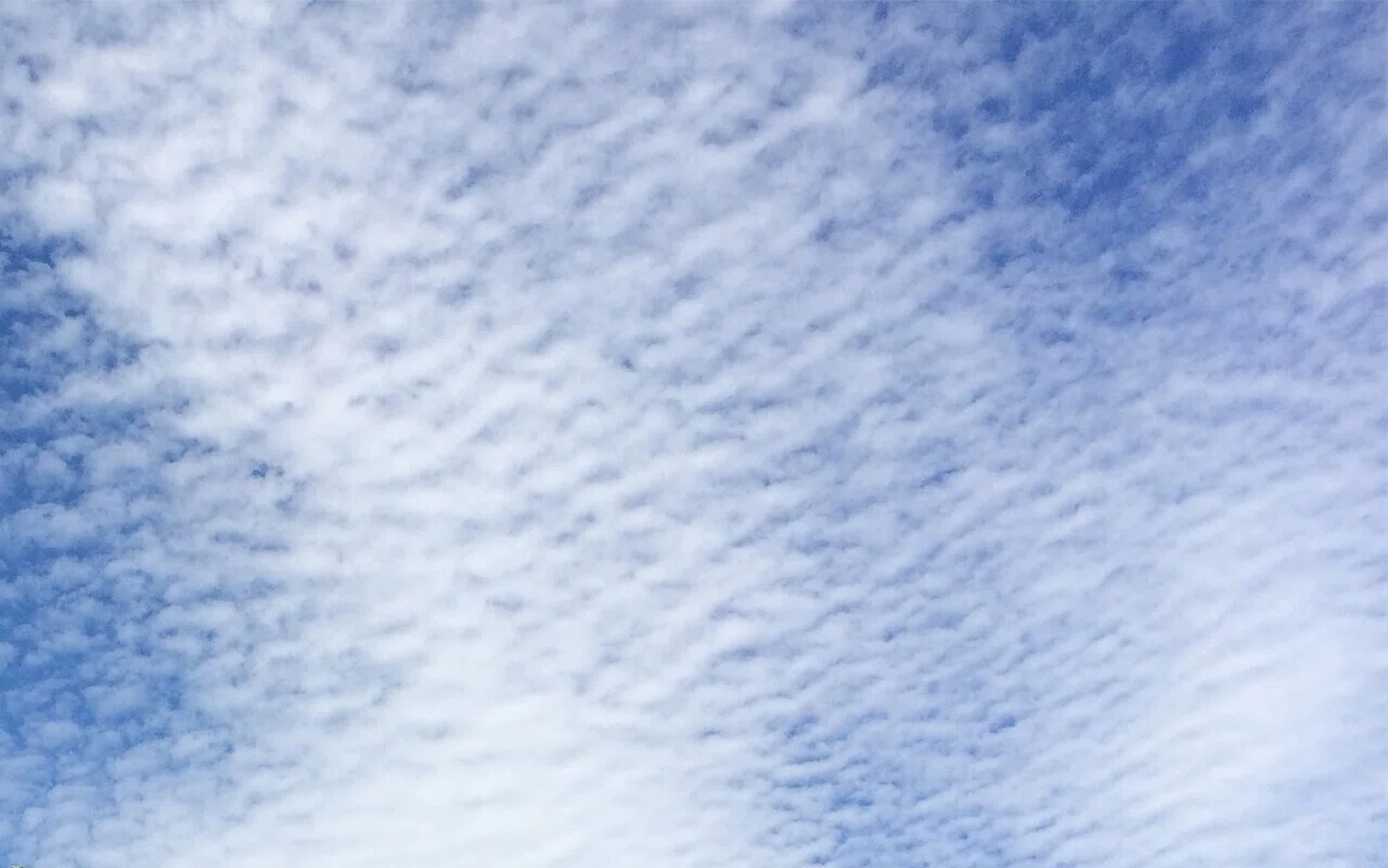 夏空とモコモコな雲 4009 Mwwm Note 夏空とモコモコな雲 4009 Mwwm Note