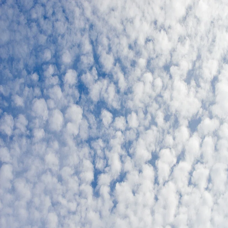 夏空とモコモコな雲 4009 Mwwm Note