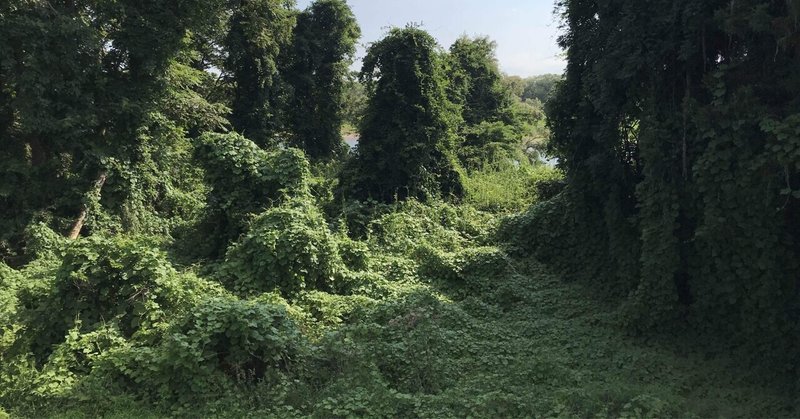 それが当たり前みたいな顔して結構どこにでもいる Ben The Massive Note