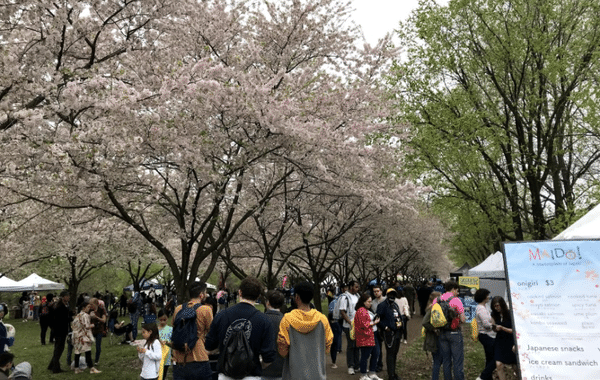 画像を拡大表示