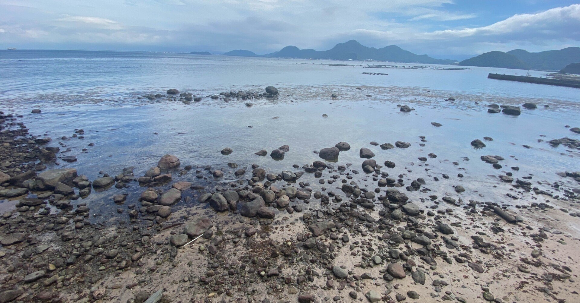 海日記】#5 沼津・西浦での磯遊び&ウミウシ探し（1）｜海遊びのほや