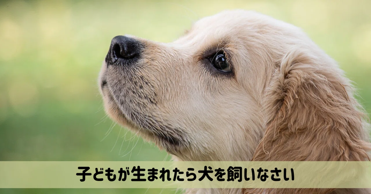 T 所感 子供が生まれたら犬を飼いなさい 蒼騎愁也 あおきしゅうや 文章作成勉強中 Note