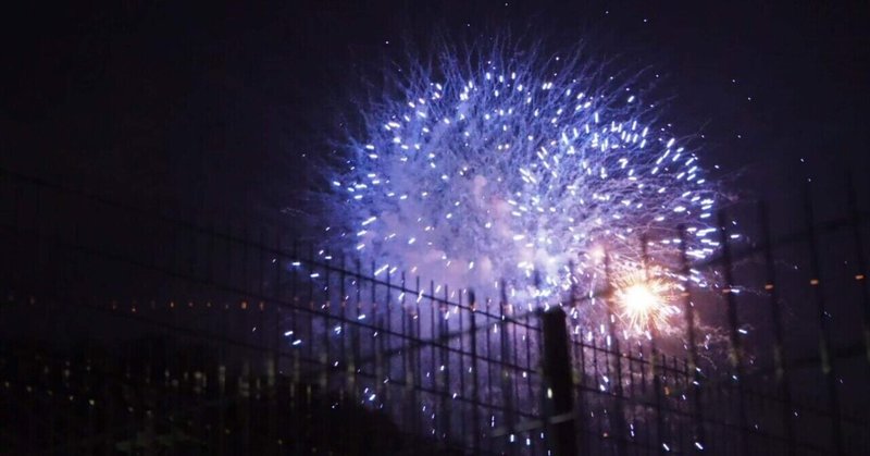 【写真集】あの夏の夜、花火を見た。