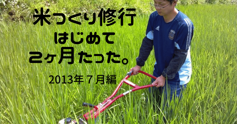 米農家での修行2ヶ月経過～2013年7月編～