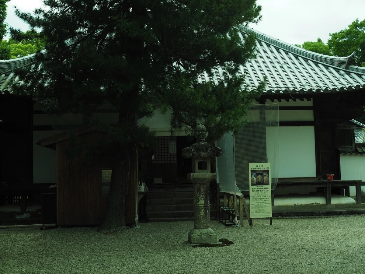 画像14