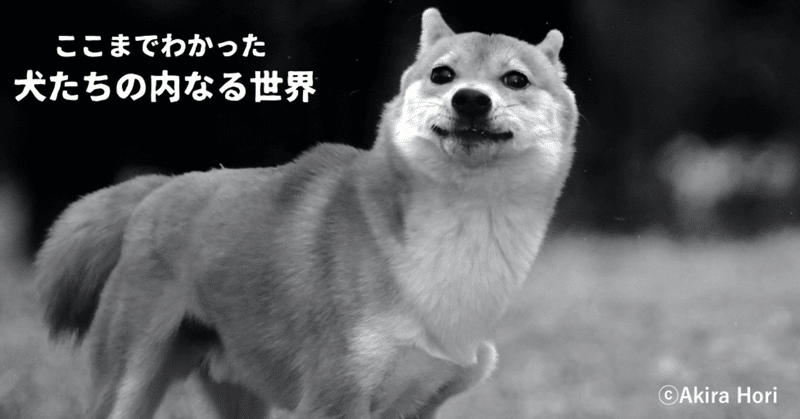 ここまでわかった犬たちの内なる世界 08 嗅ぐ生活 なぜ 脇の下のにおいをこすりつけた請求書に効果があるのか ２本足の犬 Researcher Writer Photographer Note