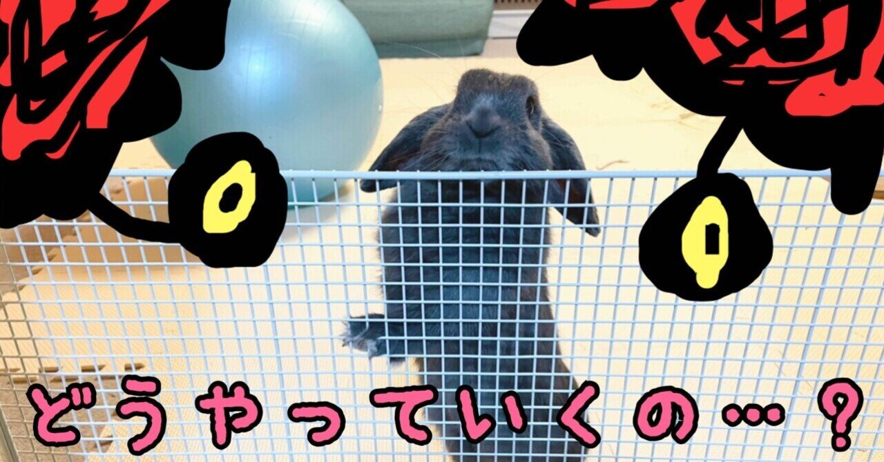 初めての ゼルダの伝説ブレス オブ ザ ワイルド 9話 ルッタ内部 ネタバレ スクショあり げーらびーず Note