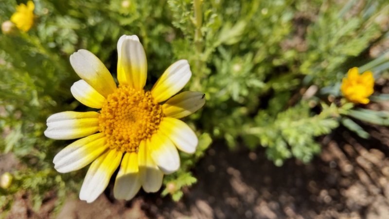 ミスターストイック の新着タグ記事一覧 Note つくる つながる とどける