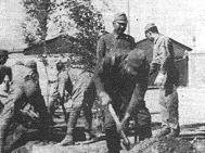 戦争中、中国大陸に木を植えた緑の連隊長・吉松喜三～日本が世界