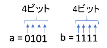 画像12