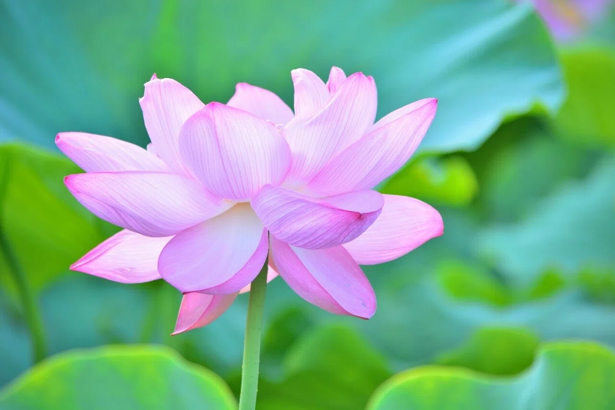 画像15