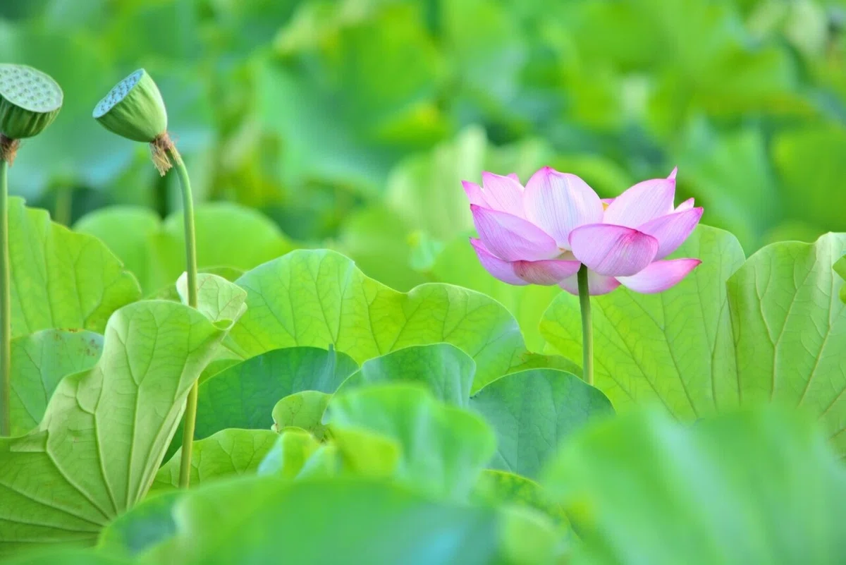 画像20